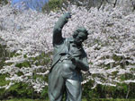 桜の中のベートーベン